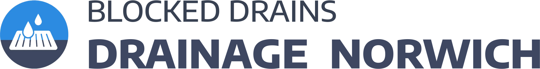 website logo